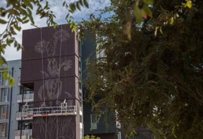 Construction and tracings of the large flower mural at Station Center Family Housing in Union City, Ca.