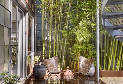 Entry patio to Shotwell Garden Retreat in San Francisco.