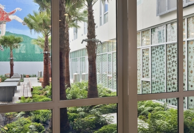 View through glass corridor wall to planted courtyard