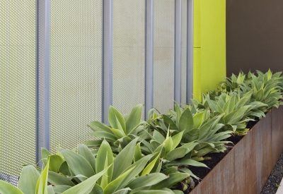 Weathering-steel planter and agaves on the rooftop of Richardson Apartments in San Francisco.