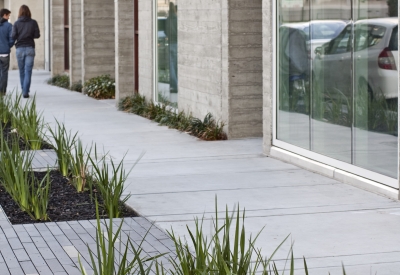 Street plantings at both the curb and building edge of Richardson Apartments in San Francsico.