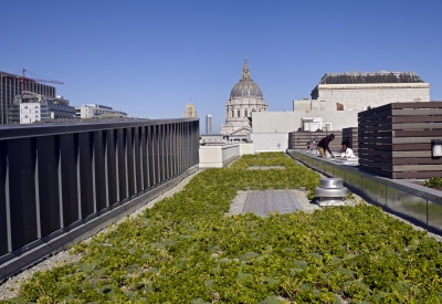 Planted roof at Richardson Apartments, with people planting community garden beds and San Francisco City Hall dome in background