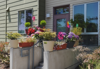 Stoop decorated with plants at Crescent Cove in San Francisco.