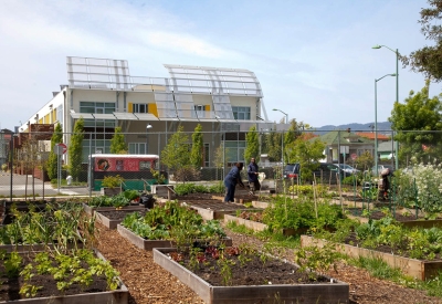 Vegetation at the Acta Non Verba Farm with Tassafaronga Village in the background in Oakland, California.