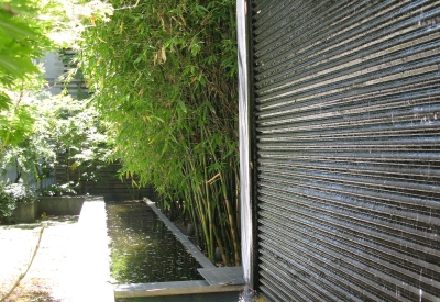 Fountain wall surrounded by bamboo in the entry courtyard of 1500 Park Avenue Lofts in Emeryville, California.