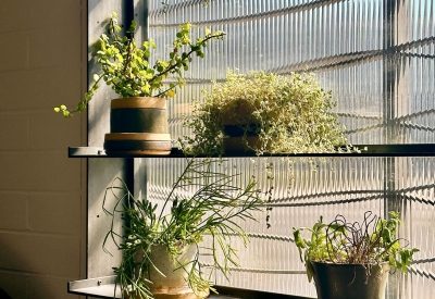 Adjustable shelves holding plants at DBA_OAK.