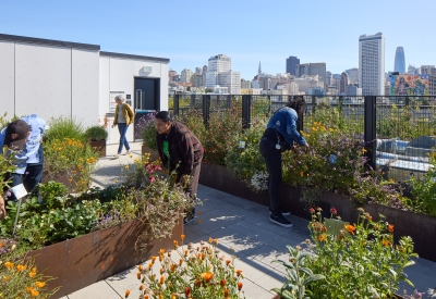 Residents gardening on the rooftop garden at Interior view of a unit at 555 Larkin in San Francisco.