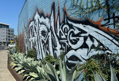 Exterior wall of the DBA_OAK office.