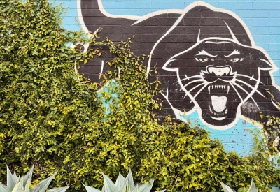 Exterior wall of the DBA_OAK office.