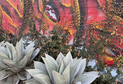 Exterior wall of the DBA_OAK office.