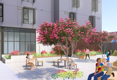 Rendering of courtyard with flowering tree and benches