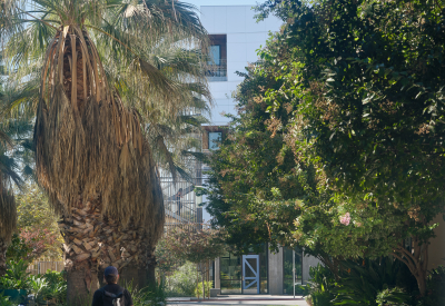 Obscured view of front of whit apartment building with blue door from a path with palm trees and a man walking a dog