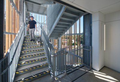 Man and dog descending open air staircase with decorative wood slats