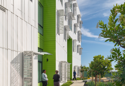 Vibrant green signifies the entry portal