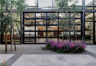 Courtyard with trees, pink flowers, gravel and concrete pavers with black steel frame and glass building in the background