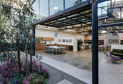 View from courtyard with tree, pink flowers and gravel into glass and black steel frame open office space