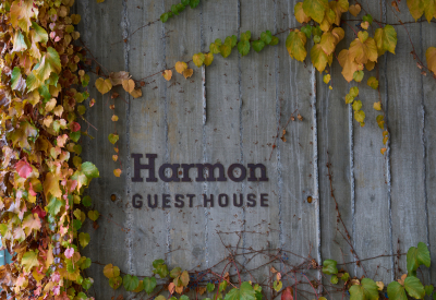 Detail of textured concrete will with sign reading Harmon Guesthouse and climbing vines