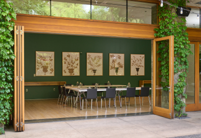 View of conference room through wide portal in ivy-covered wall