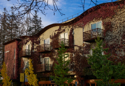 Partial ivy-covered facade of building with sculptural wavy roofline, with fall foliage in foreground