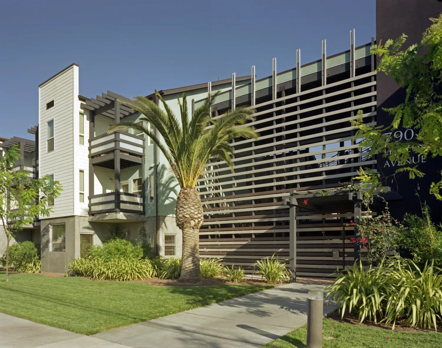 Entry surrounded by greenery and a large palm tree at Lenzen Square in San Jose, California.