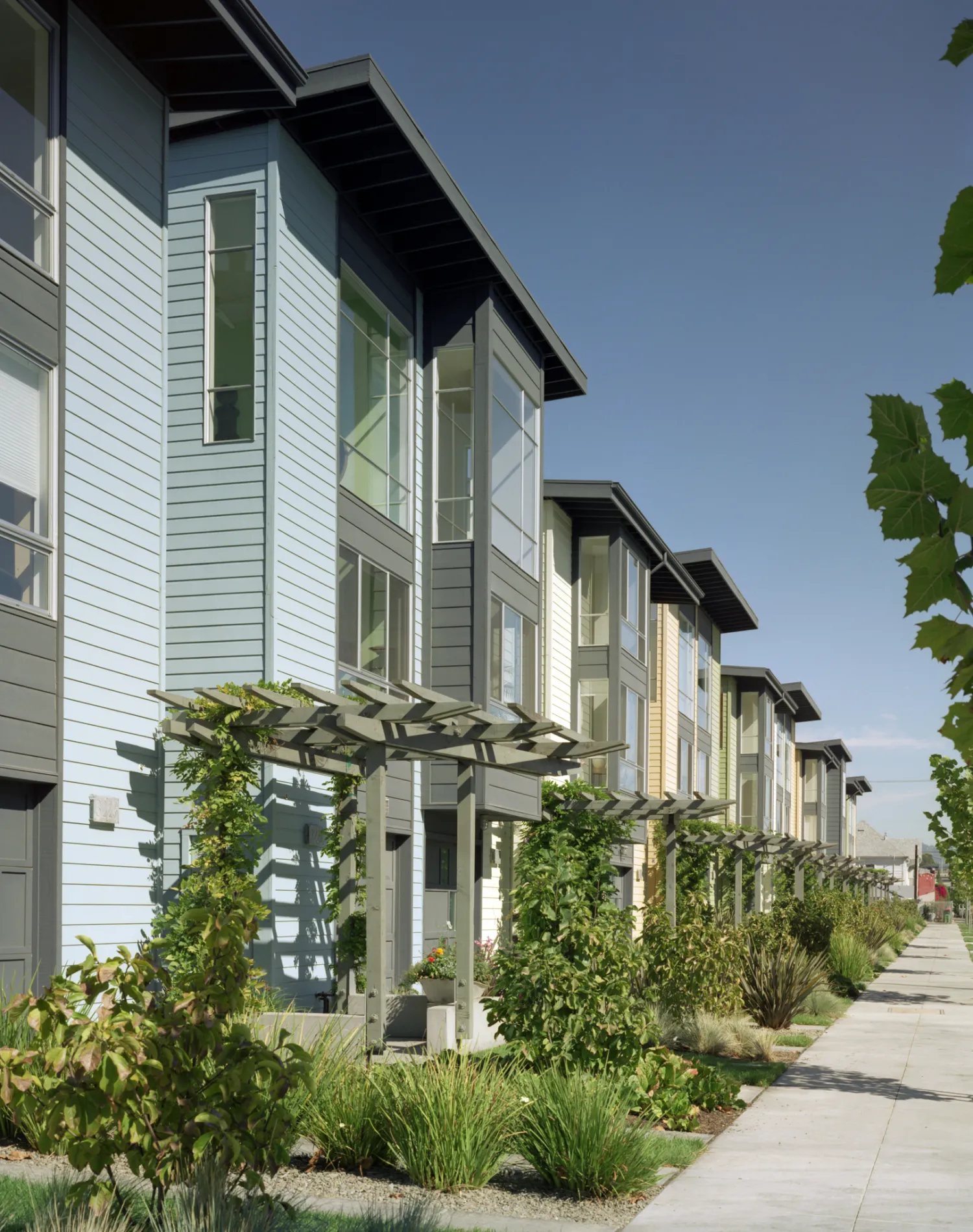 Trellis and sidewalk perspective at Magnolia Row in West Oakland, California.