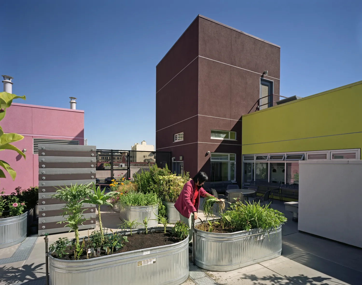 Resident with black hair and bright pink jacket tending a planting bed on the rooftop garden. 