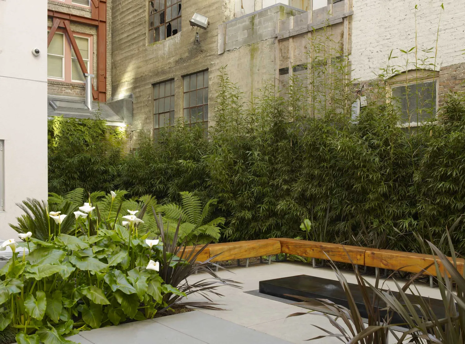 A low, black, modern water feature is surrounded by rustic wood benches and bamboo. 