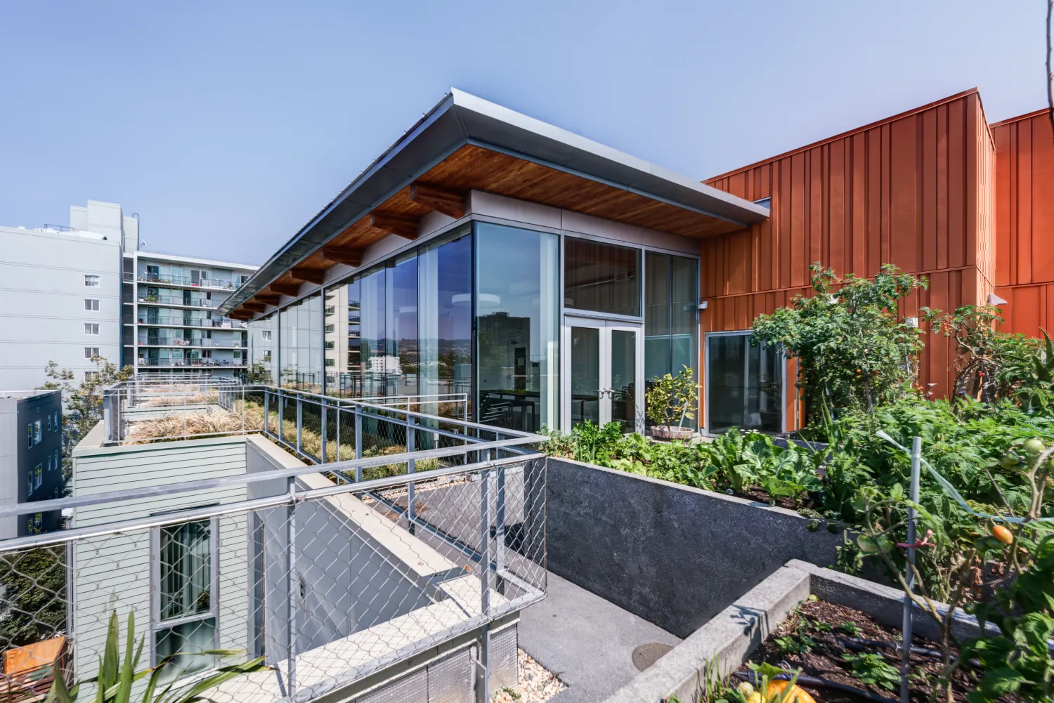 Community roof top garden at Lakeside Senior Housing in Oakland, Ca