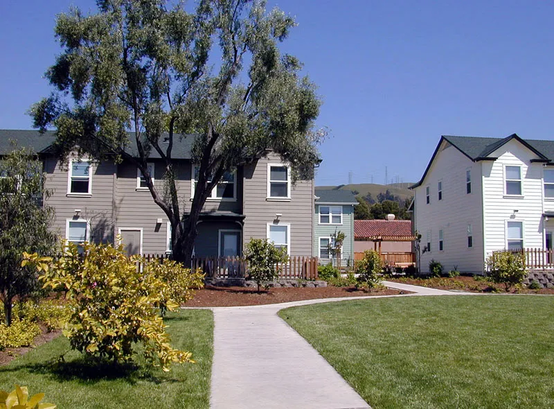 The old pepper tree shades a rose garden that borders the open lawn space, community center, and tot-lots at Oroysom Village in Fremont, California.