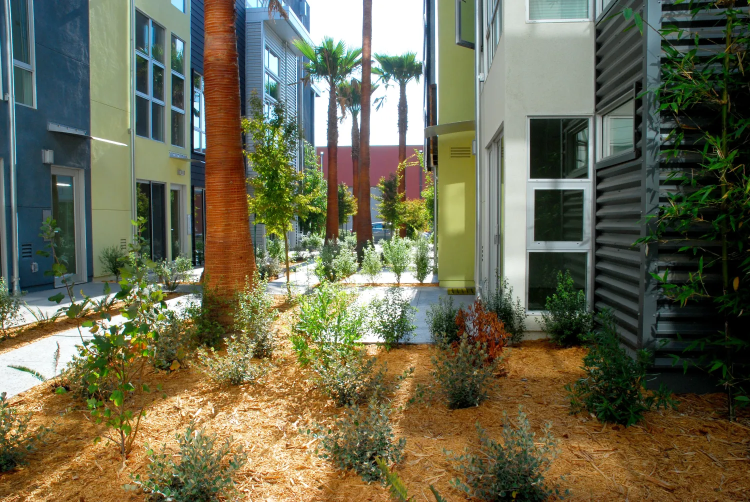 Courtyard at Blue Star Corner in Emeryville, Ca.