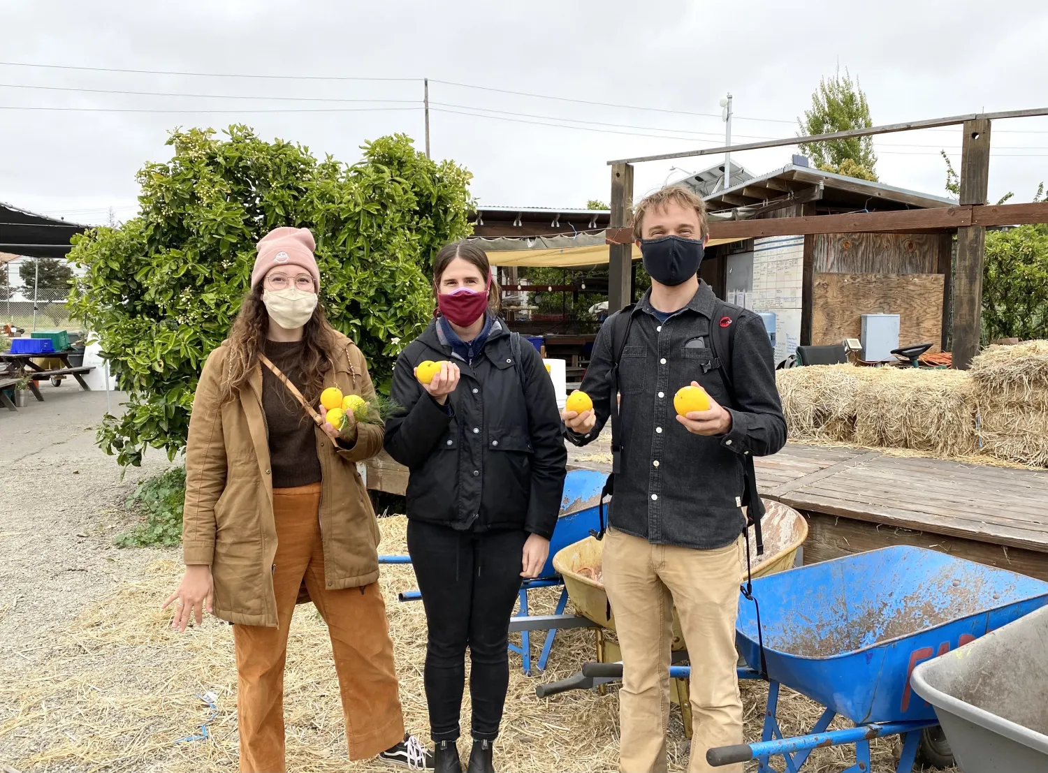 DBA staff holding lemons at the site visit for Farm2Market Shade Trellis in Alameda, California.