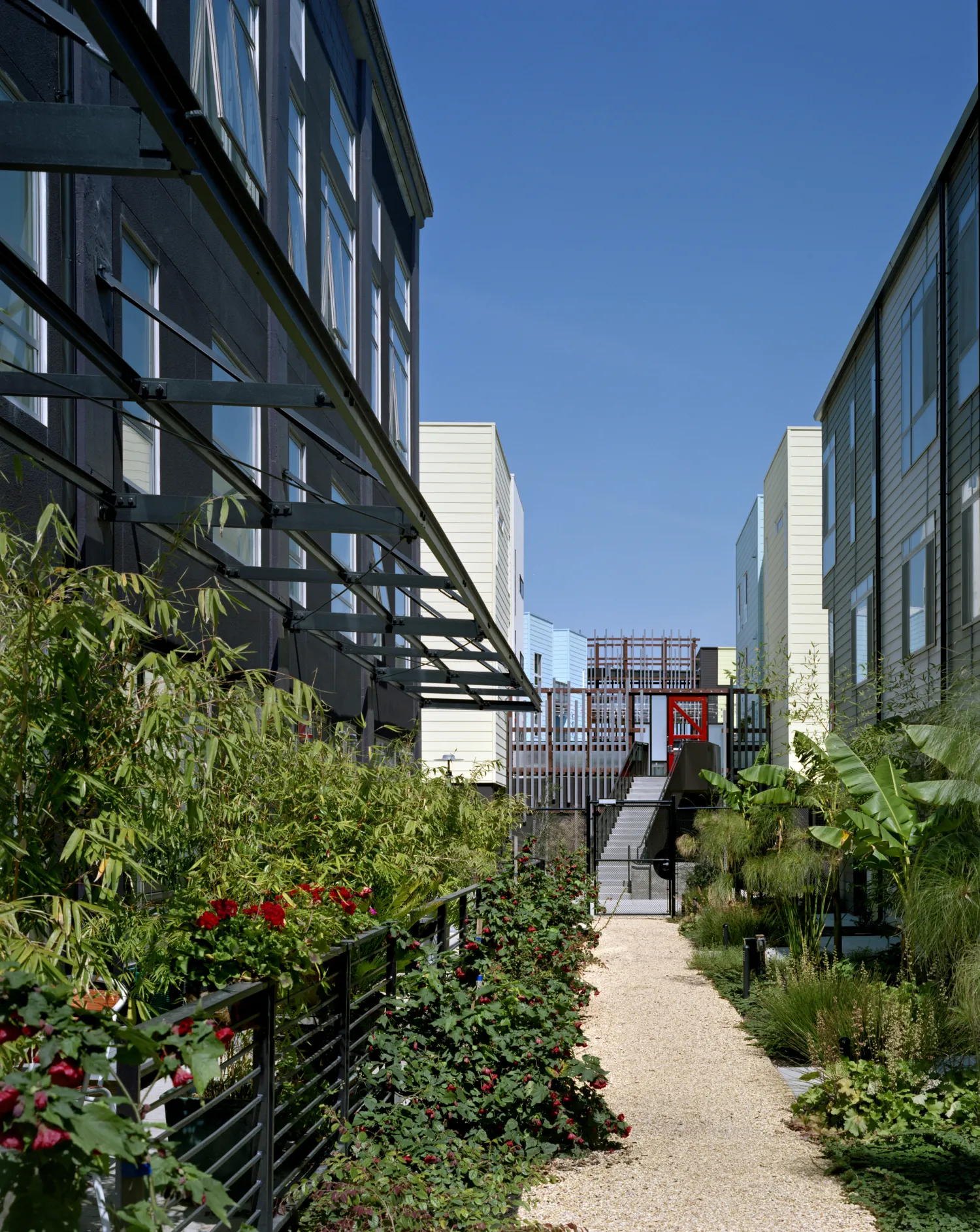 Resident path with greenery at Pacific Cannery Lofts in Oakland, California.