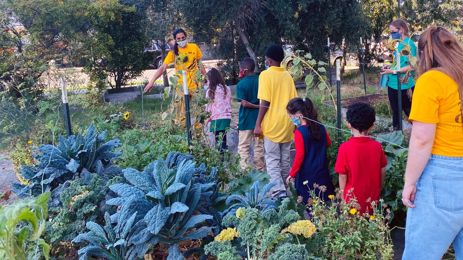 Farm volunteers and kids walking among planting beds at the farm at Tassafaronga Village in Oakland