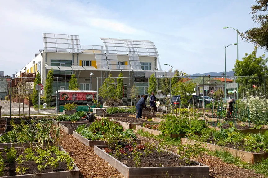 Vegetation at the Acta Non Verba Farm with Tassafaronga Village in the background in Oakland, California.