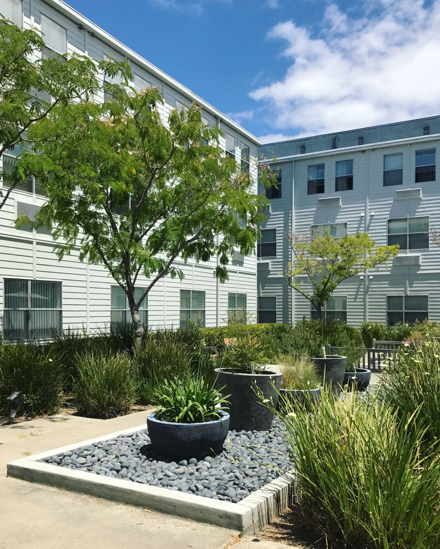 View of the courtyard at Pensione Esperanza in San Jose, California.