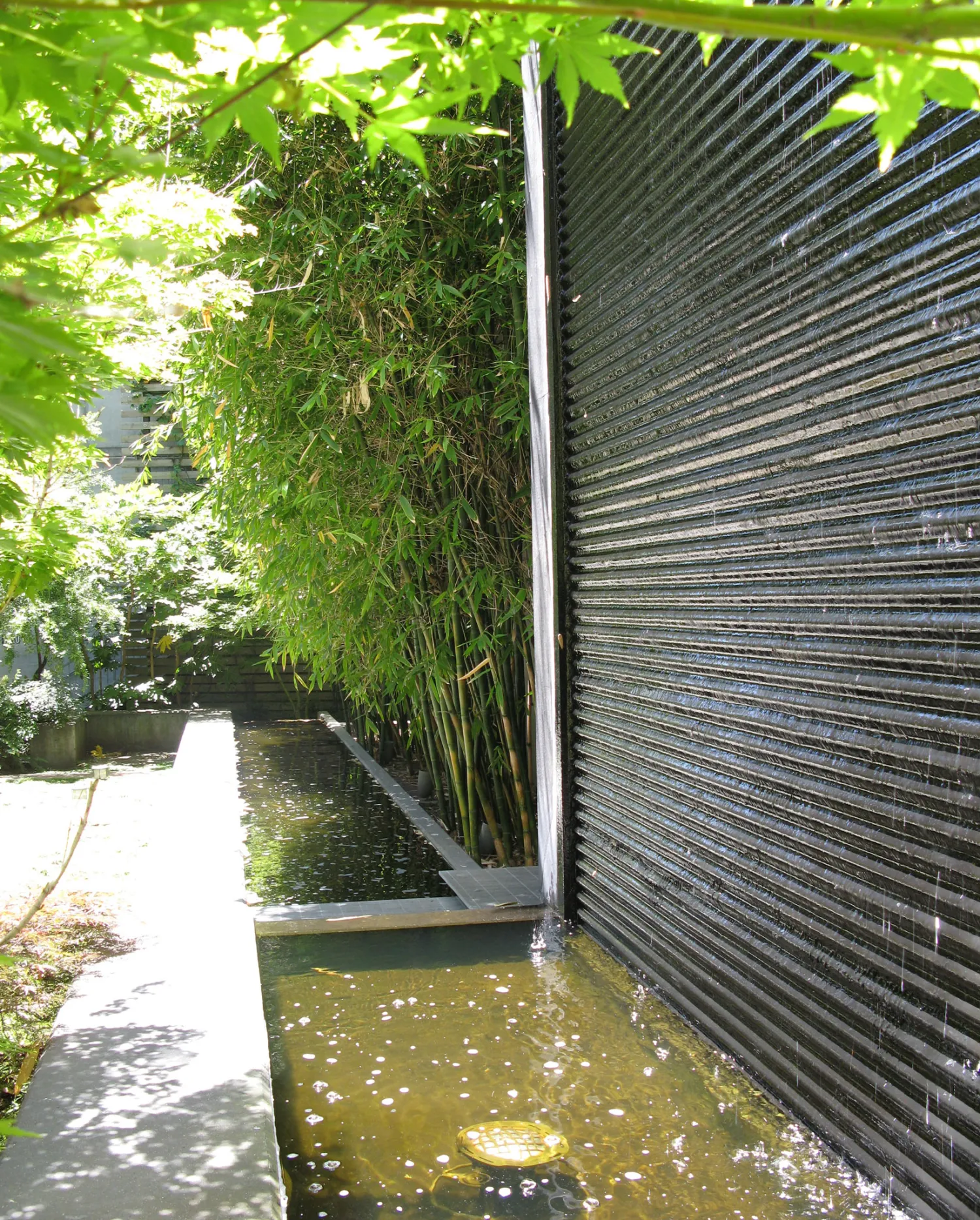 Fountain wall surrounded by bamboo in the entry courtyard of 1500 Park Avenue Lofts in Emeryville, California.