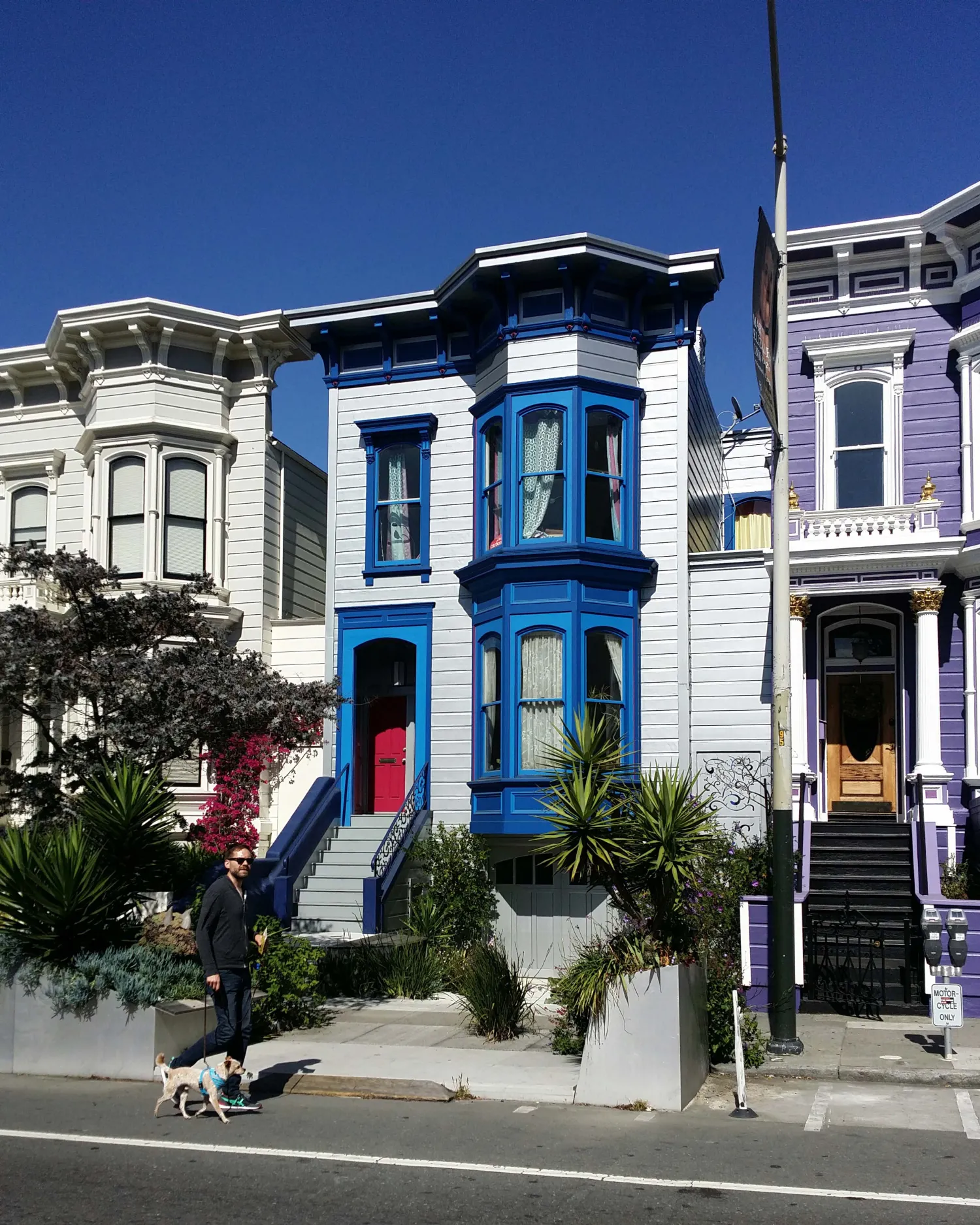 Residential stoops in San Francisco.