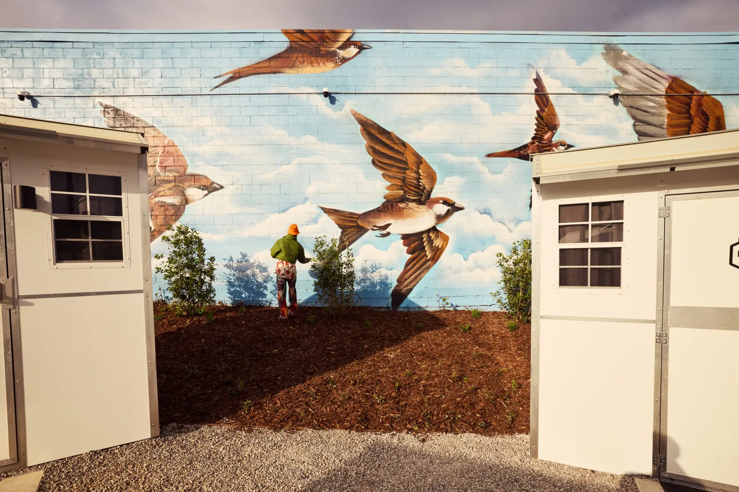 An artist paints a mural of oversize sparrows on a pale blue sky on a wall behind two small structures