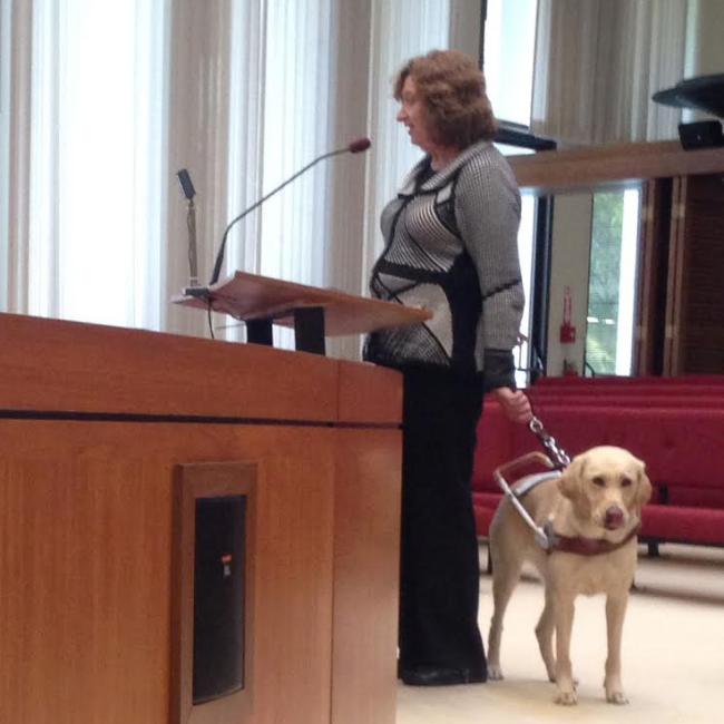 Guide Dog at the Palo Alto Architectural Review Board hearing for Mayfield Place in Palo Alto, Ca.