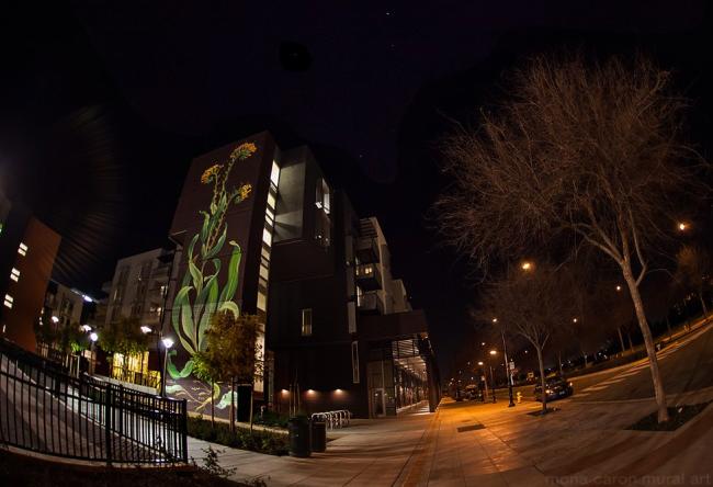 Large sunflower mural at night at Station Center Family Housing in Union City, Ca