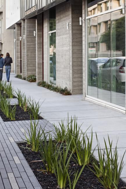 Street plantings at both the curb and building edge. 