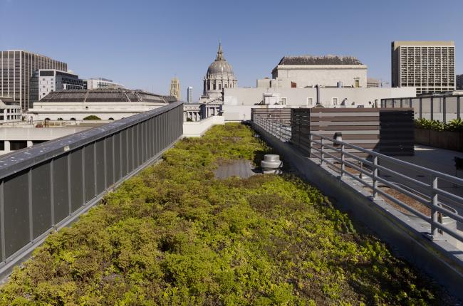 Planted roof at Richardson Apartments, with San Francisco City Hall dome in background