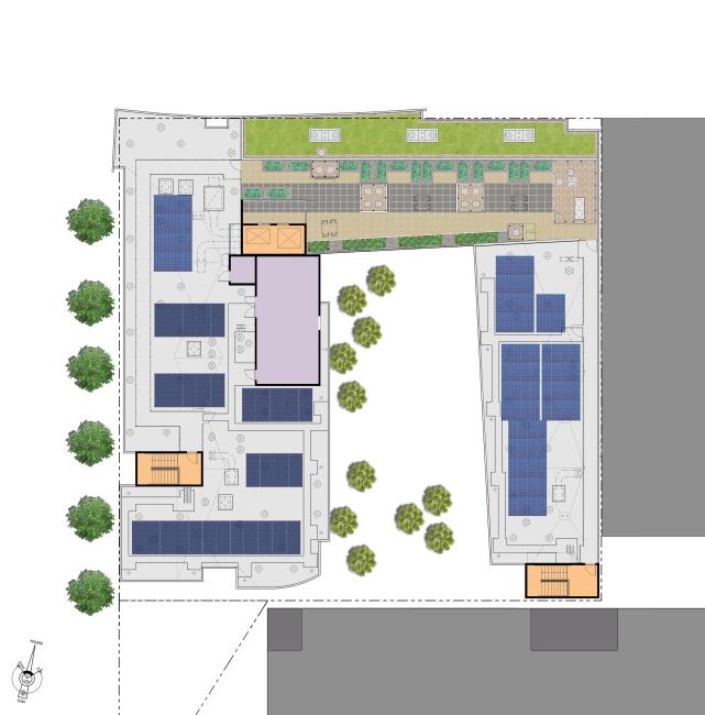Richardson Apartments roof plan