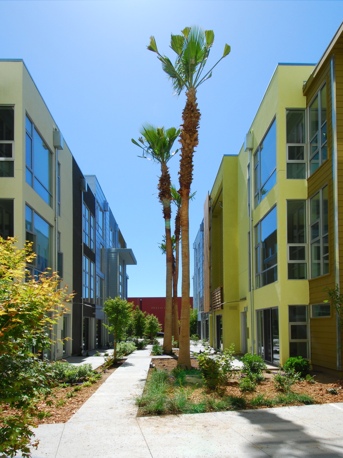 View of the courtyard and townhouses at Blue Star Corner in Emeryville, Ca.