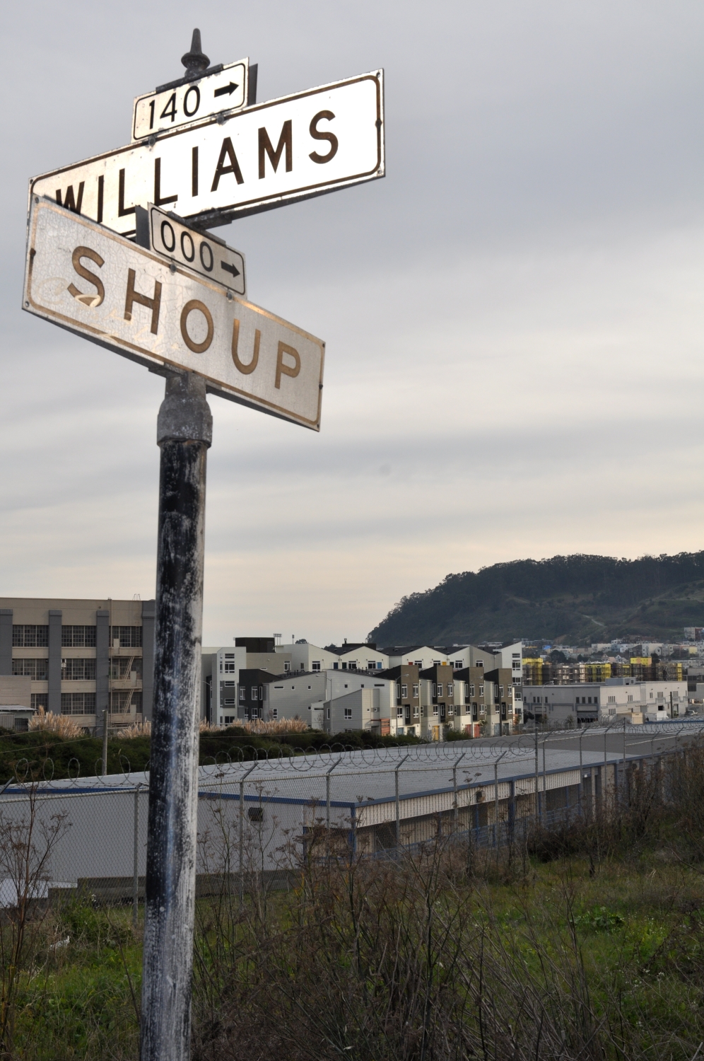 View of to street signs that say Willams and Shoup with Armstrong Place in San Francisco in the background.