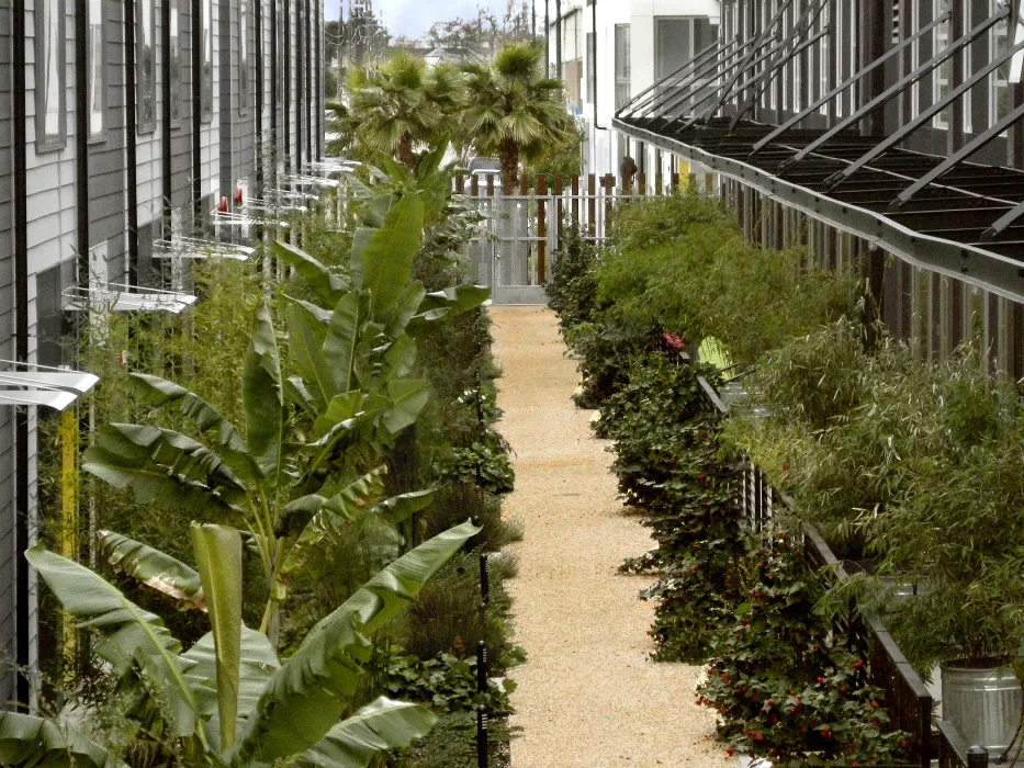 Resident green walkway at Pacific Cannery Lofts in Oakland, California.
