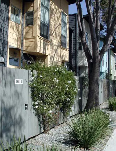 View from the sidewalk of Magnolia Row in West Oakland, California.