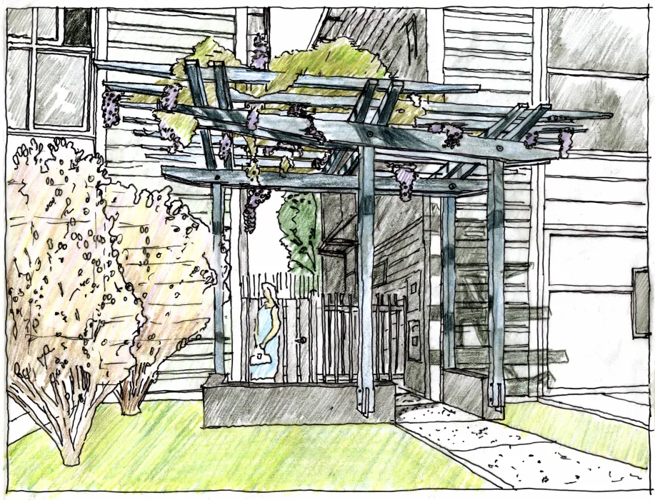 Sketch of a trellis for Magnolia Row in West Oakland, California.