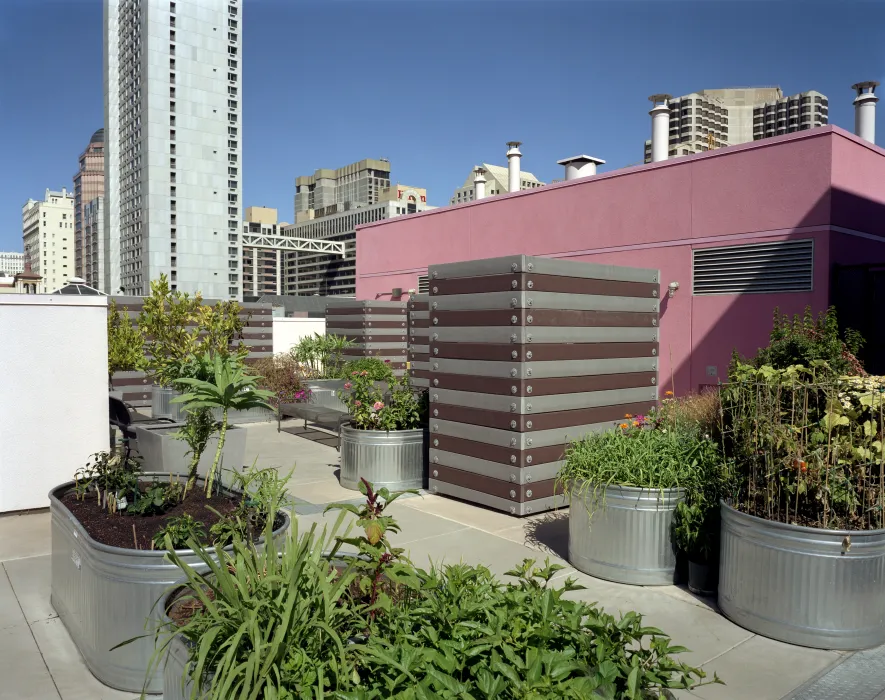 Garden beds in oval agricultural tubs overflowing with plants, with city view in background. 
