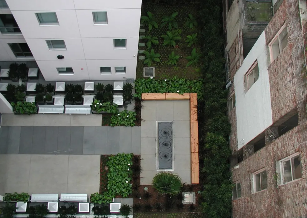 View from above looking down into courtyard, showing planting beds and the minimalist water feature. 
